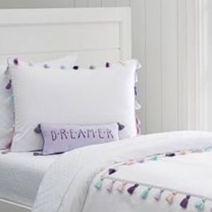 Pottery Barn Kids Stella Duvet & Pillow shams